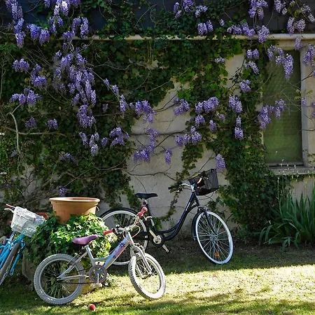 Holiday home The Secret Gem Or The Hidden Gem Or Both Together